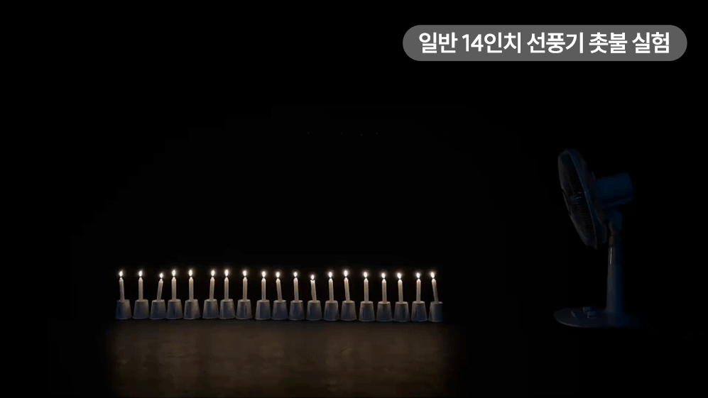editor이미지